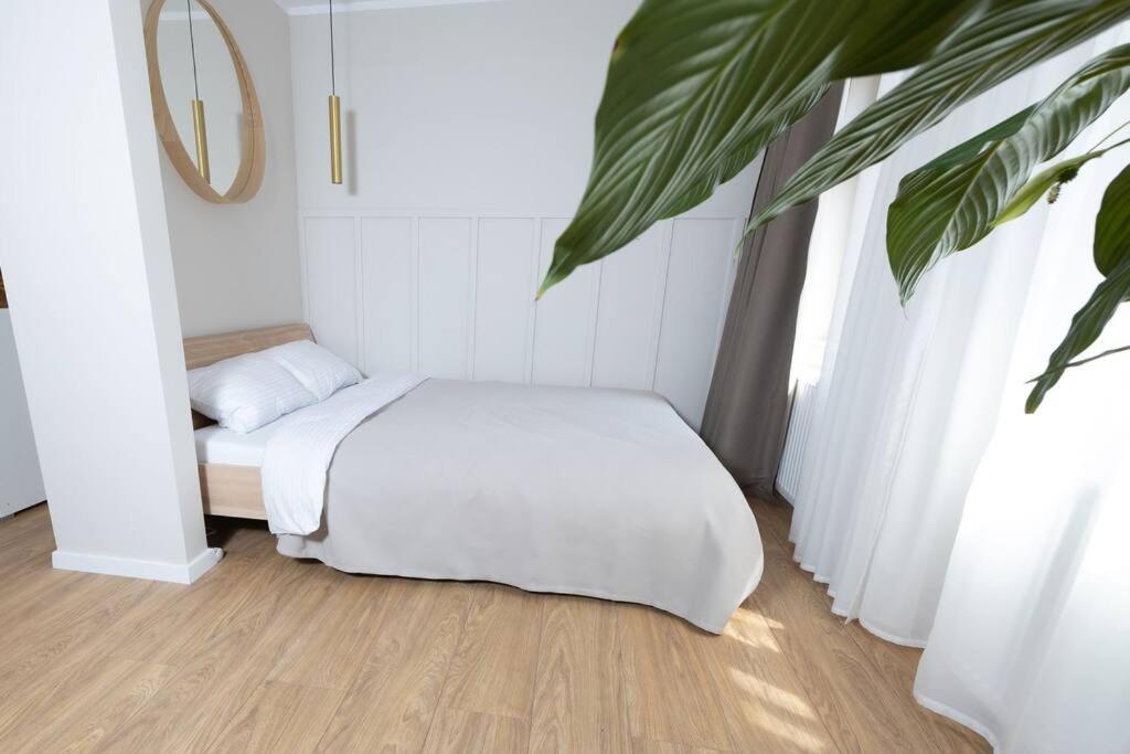 Design & Relax #Altstadt #Sauna Wittenberg Eksteriør billede